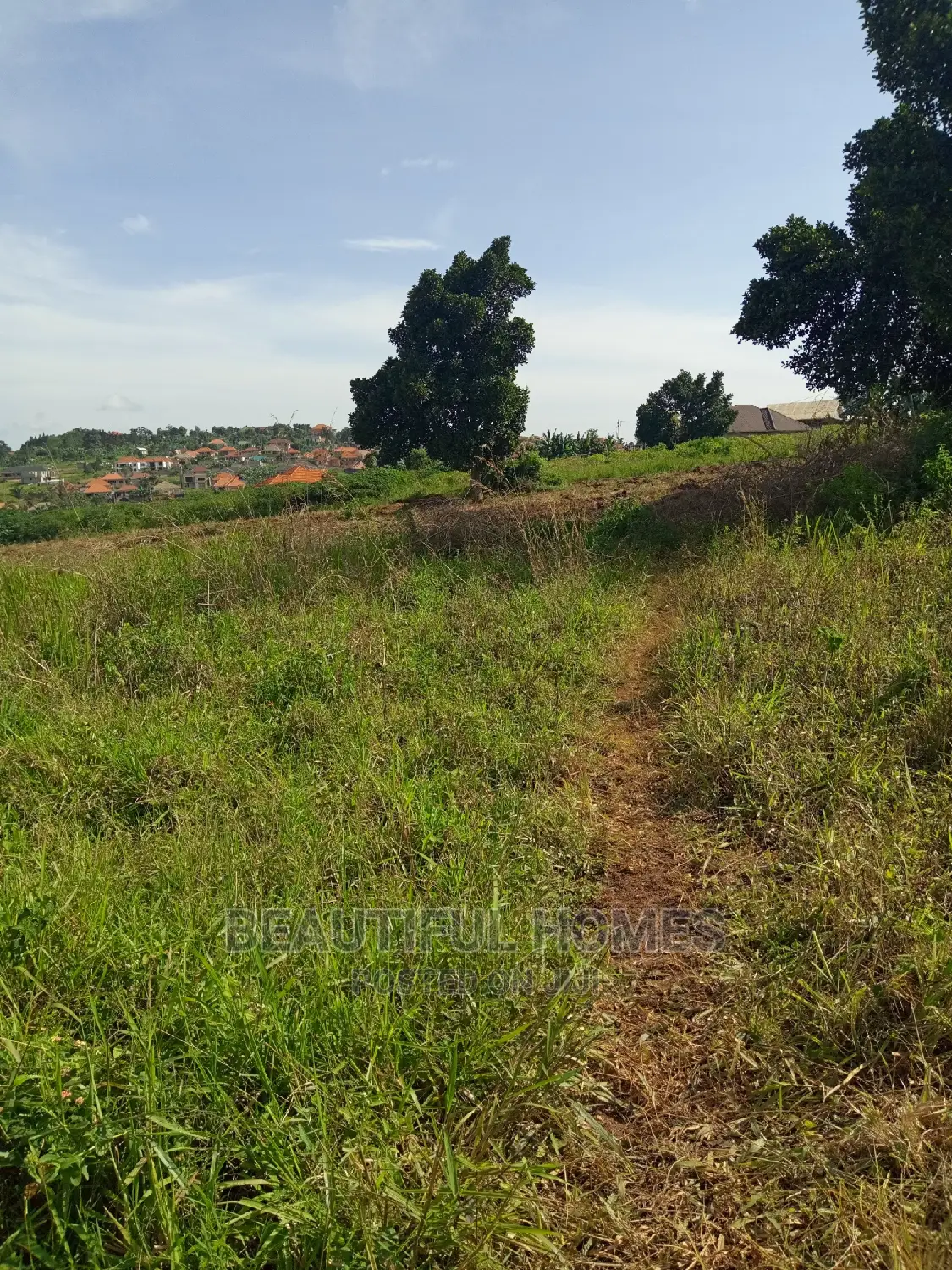 Kira 25 Decimals Good Land on Sell