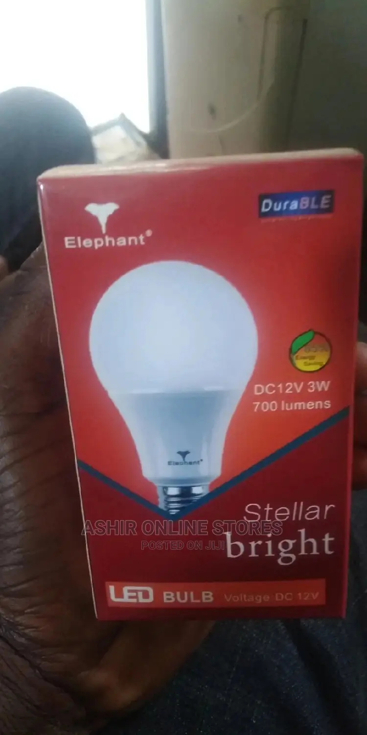 Elephant LED DC Bulbs