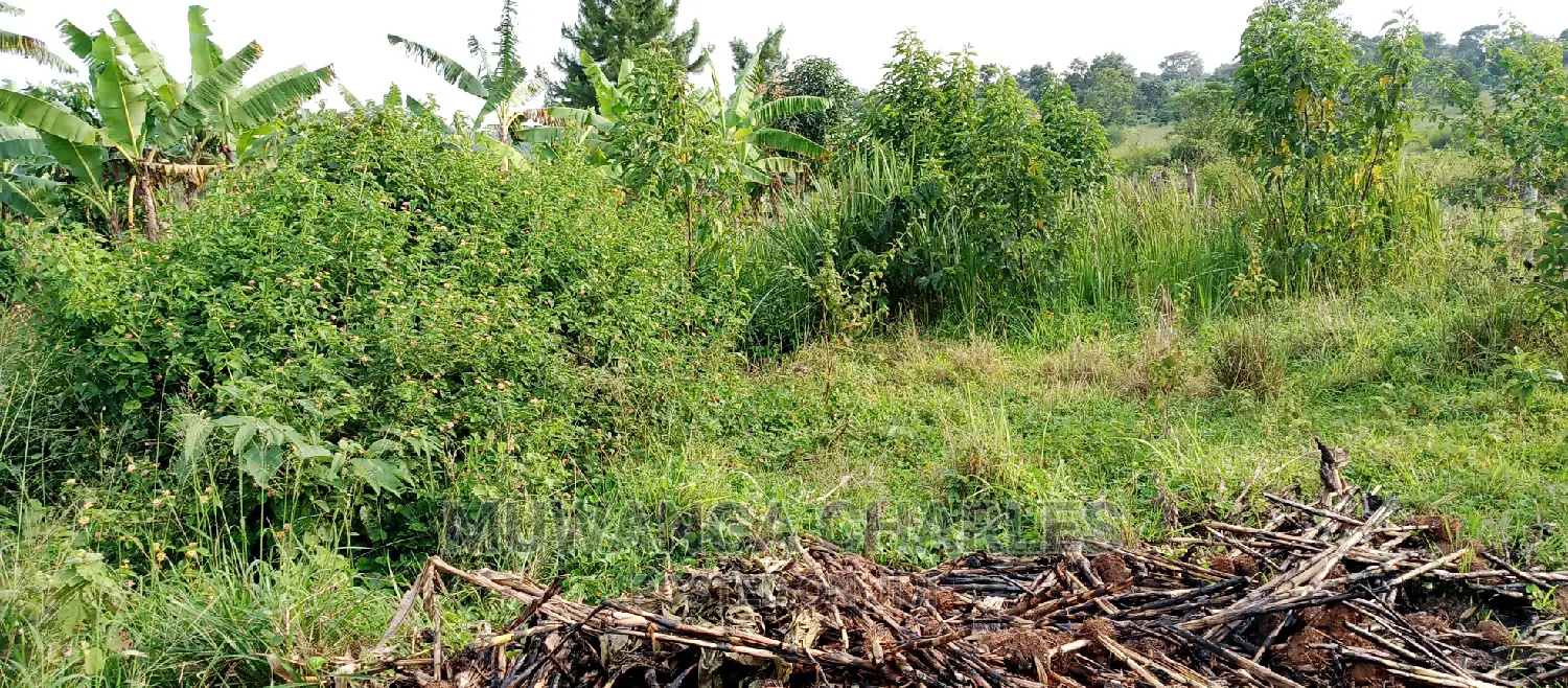 3.5acres for Sale in Janda
