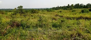 3.5acres for Sale in Janda