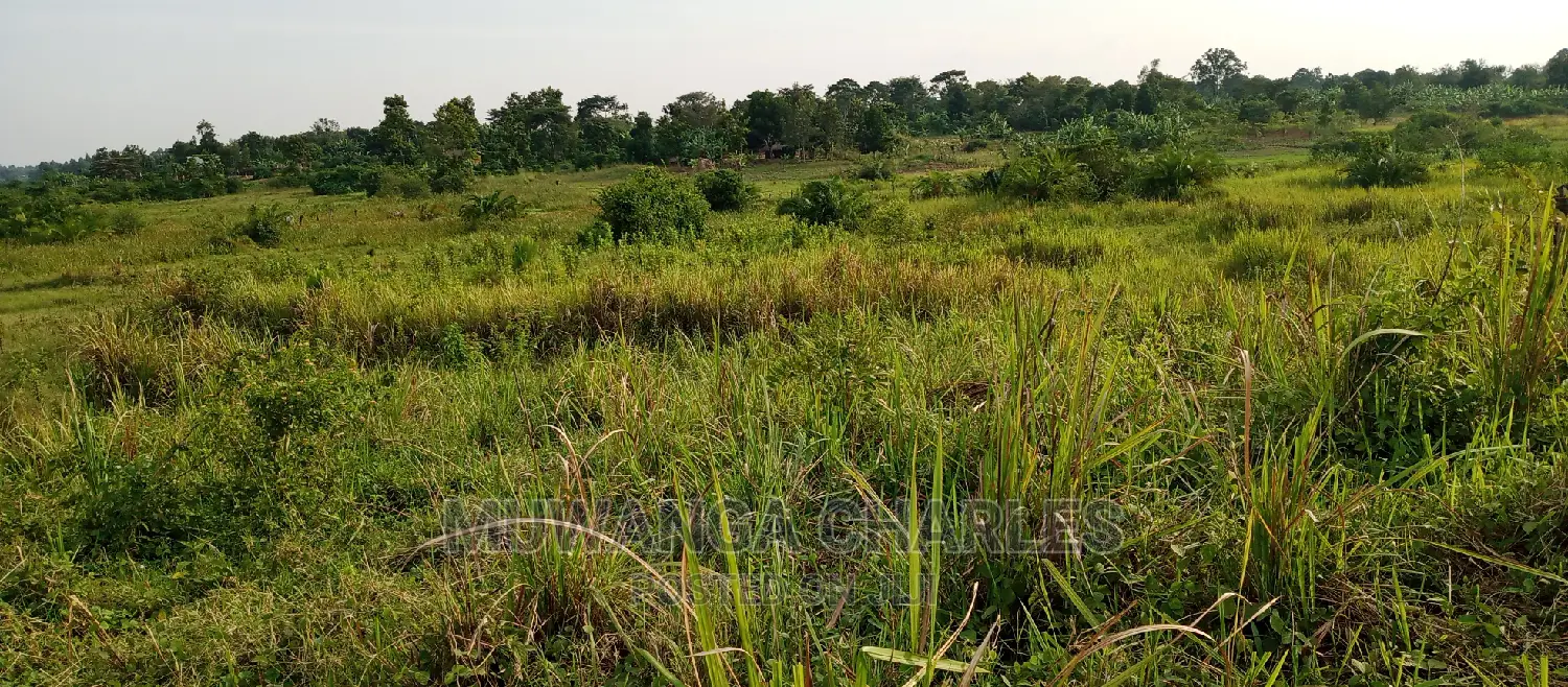 3.5acres for Sale in Janda