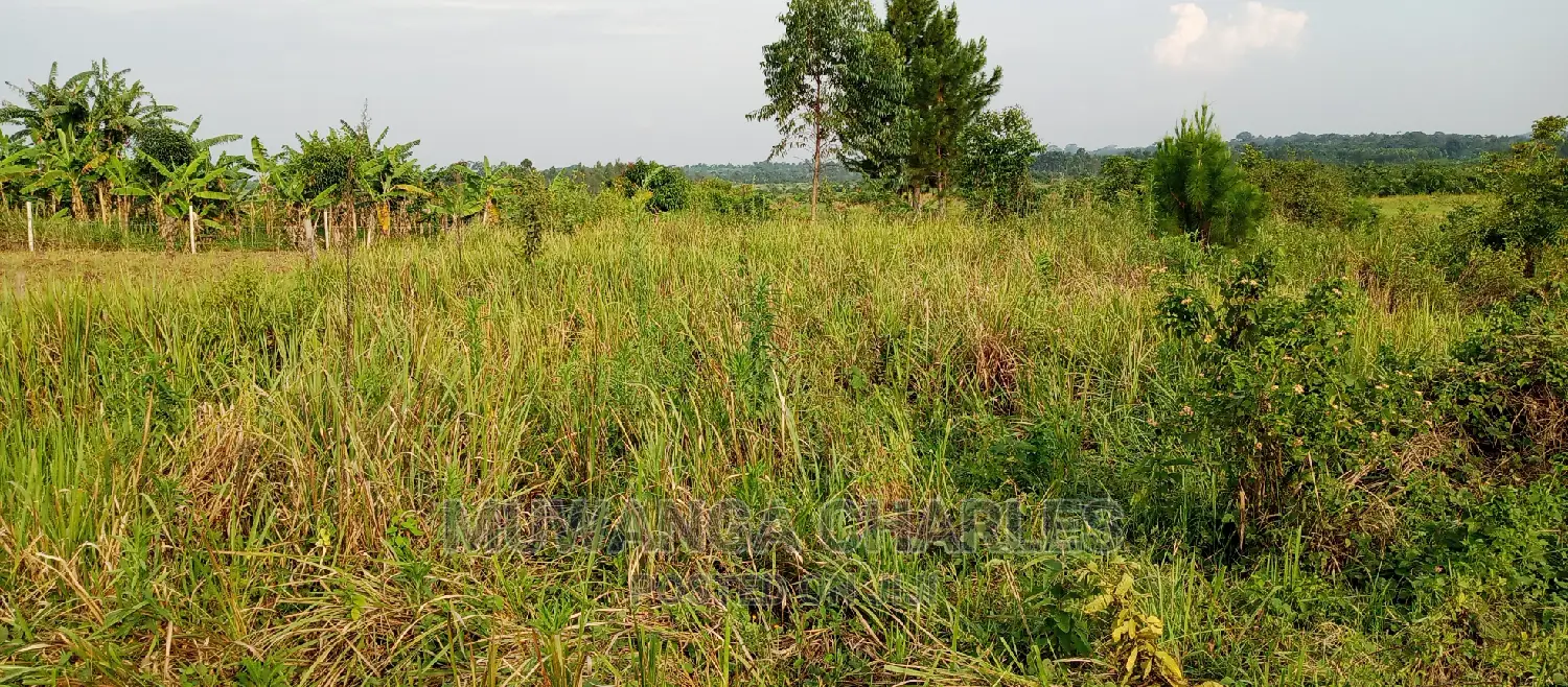 3.5acres for Sale in Janda