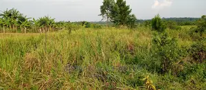 3.5acres for Sale in Janda