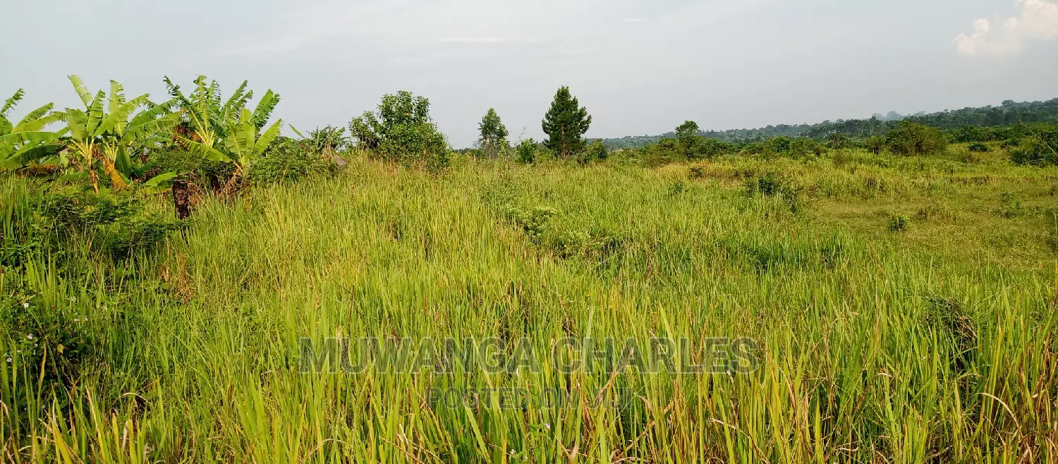 3.5acres for Sale in Janda
