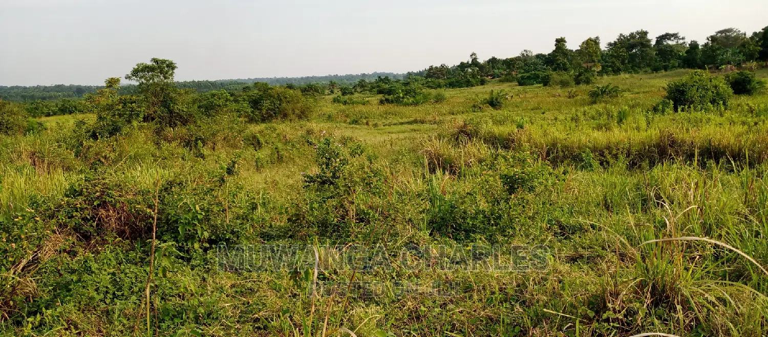 3.5acres for Sale in Janda