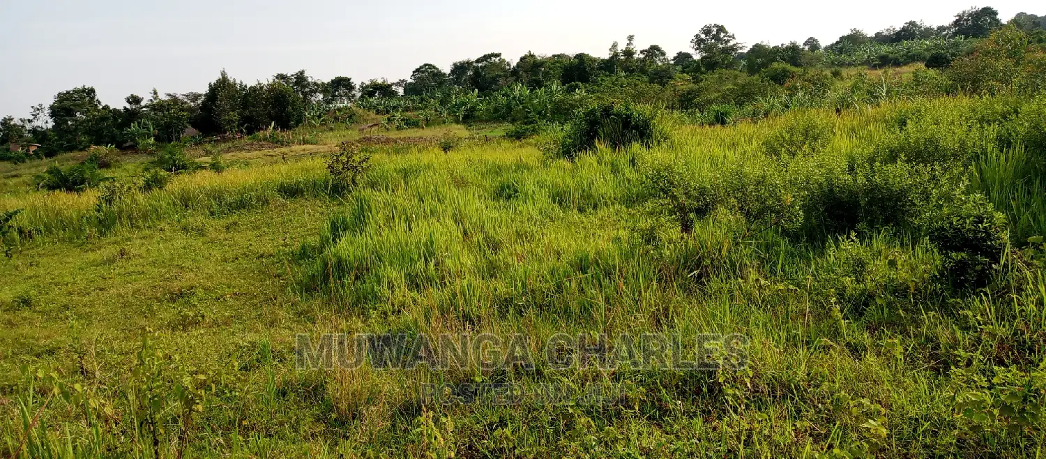 3.5acres for Sale in Janda