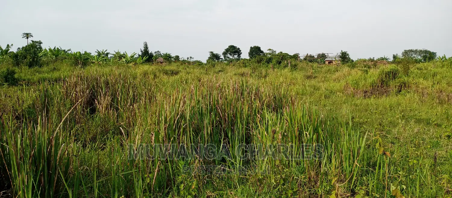 3.5acres for Sale in Janda