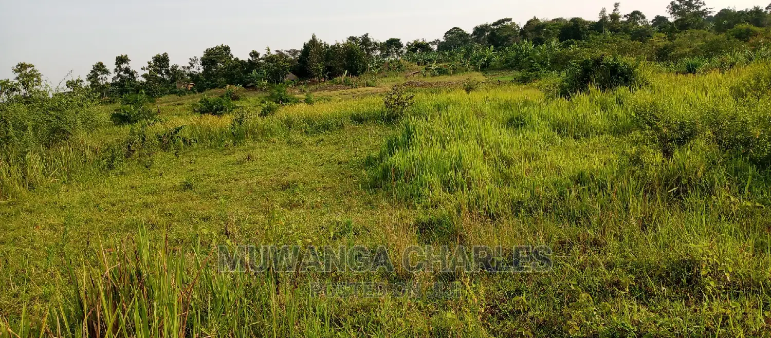 3.5acres for Sale in Janda