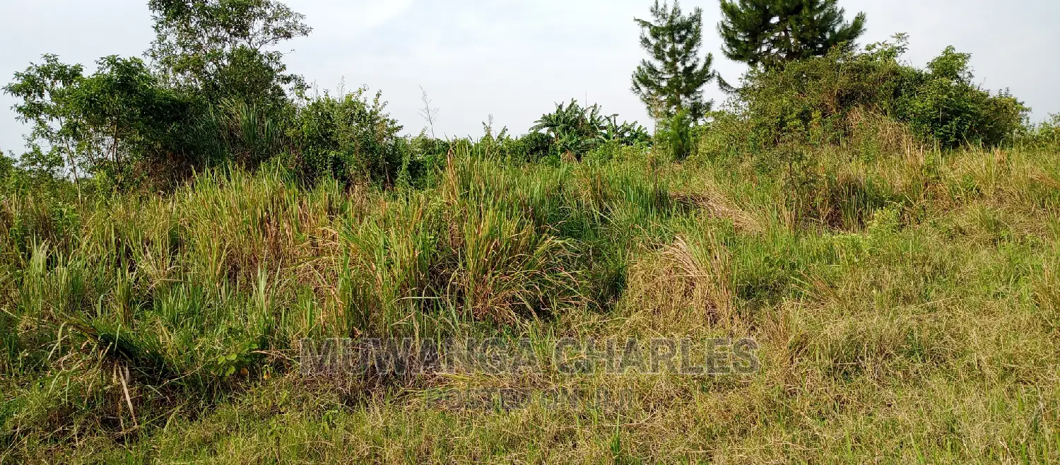 3.5acres for Sale in Janda
