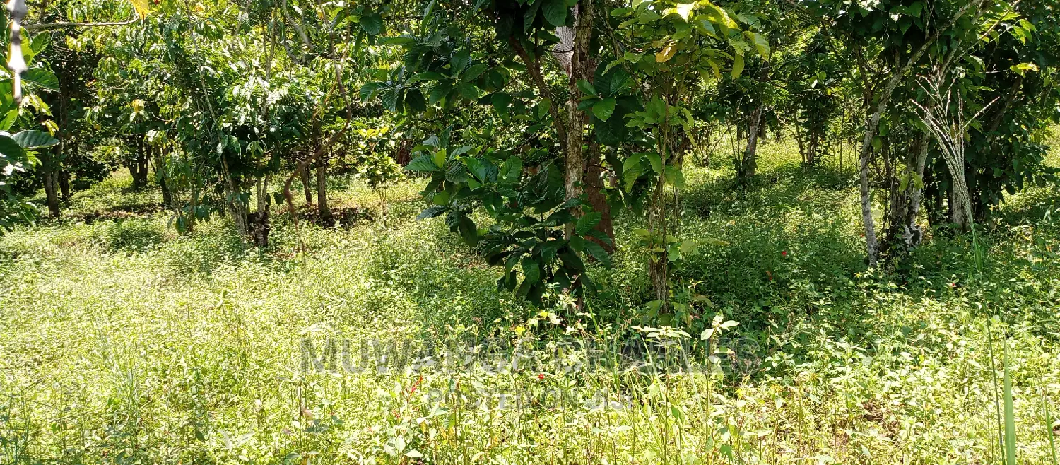 2.5acres for Sale in Janda