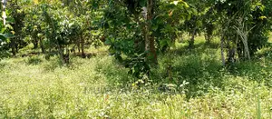 2.5acres for Sale in Janda