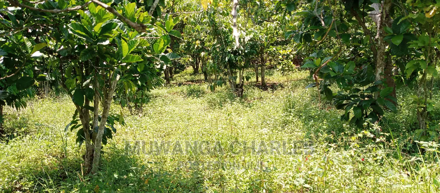 2.5acres for Sale in Janda