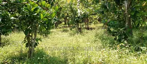 2.5acres for Sale in Janda