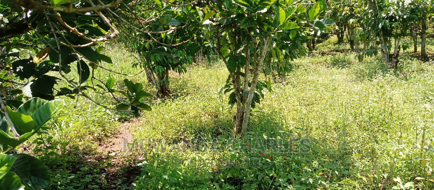 2.5acres for Sale in Janda