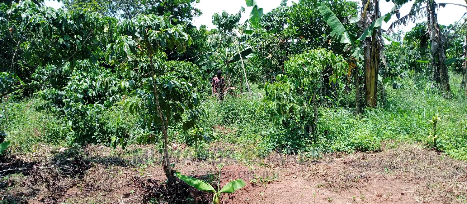 2.5acres for Sale in Janda