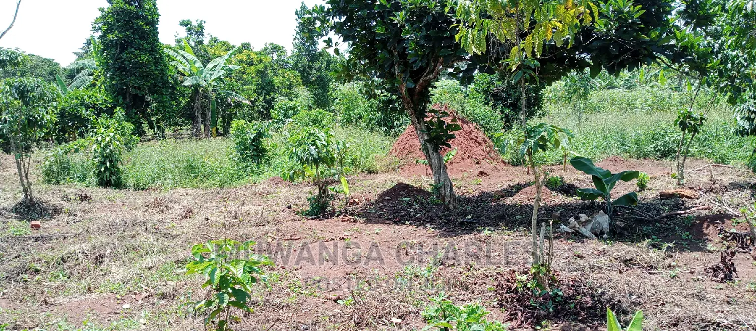 2.5acres for Sale in Janda