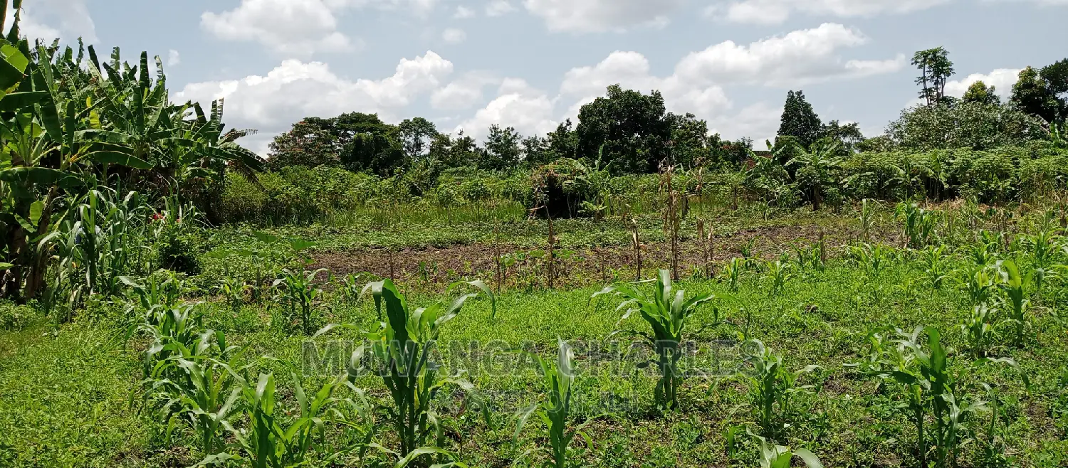 2.5acres for Sale in Janda