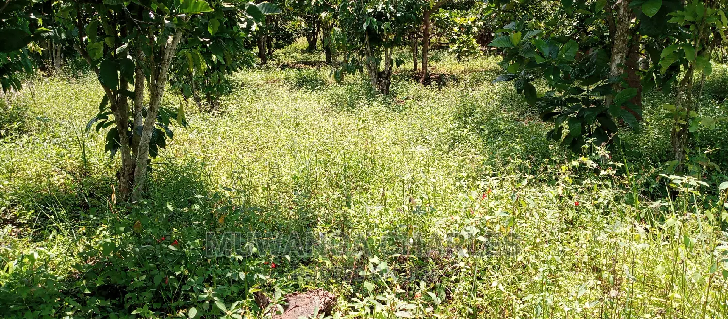 2.5acres for Sale in Janda