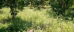 2.5acres for Sale in Janda