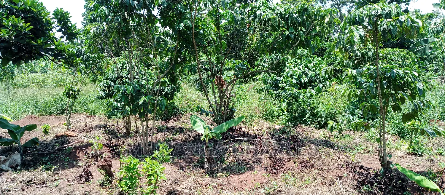 2.5acres for Sale in Janda