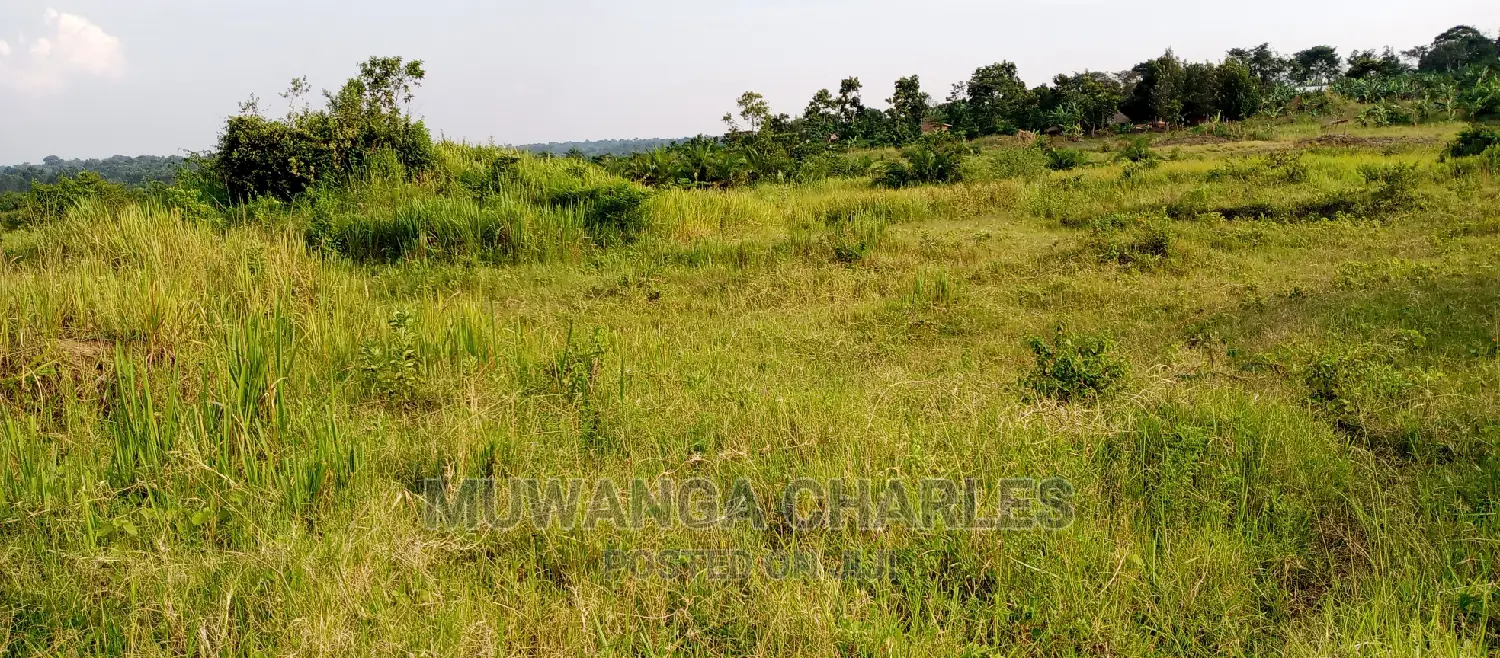 100acres for Sale in Zirobwe