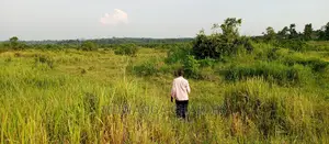 100acres for Sale in Zirobwe