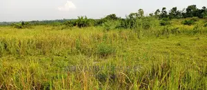 100acres for Sale in Zirobwe