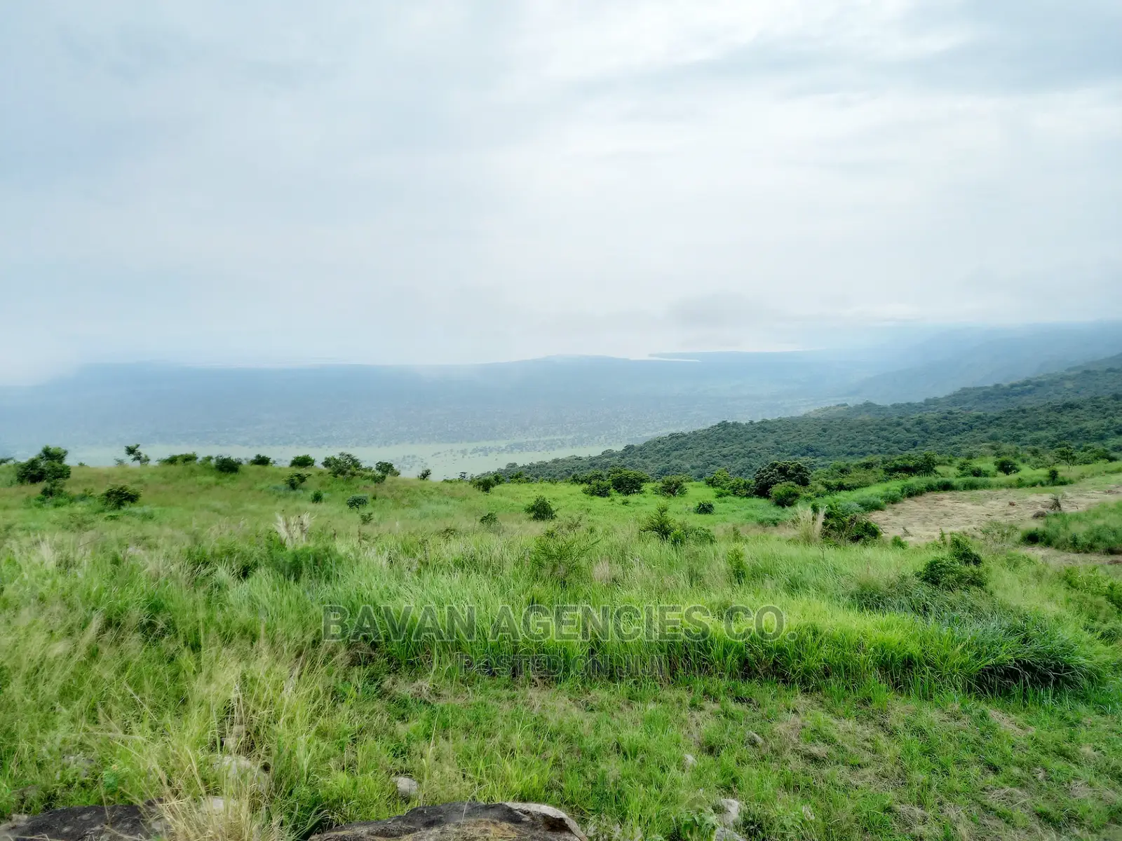 3 Acres Beautiful Park View Land in Kyambura, Rubirizi.