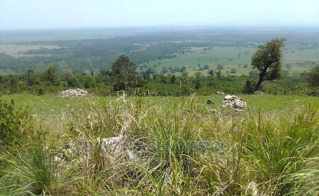 3 Acres Beautiful Park View Land in Kyambura, Rubirizi.