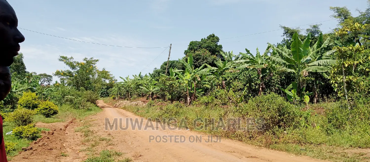 Land Is Available for Sale in Zirobwe