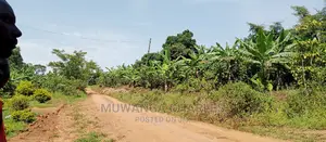 Land Is Available for Sale in Zirobwe