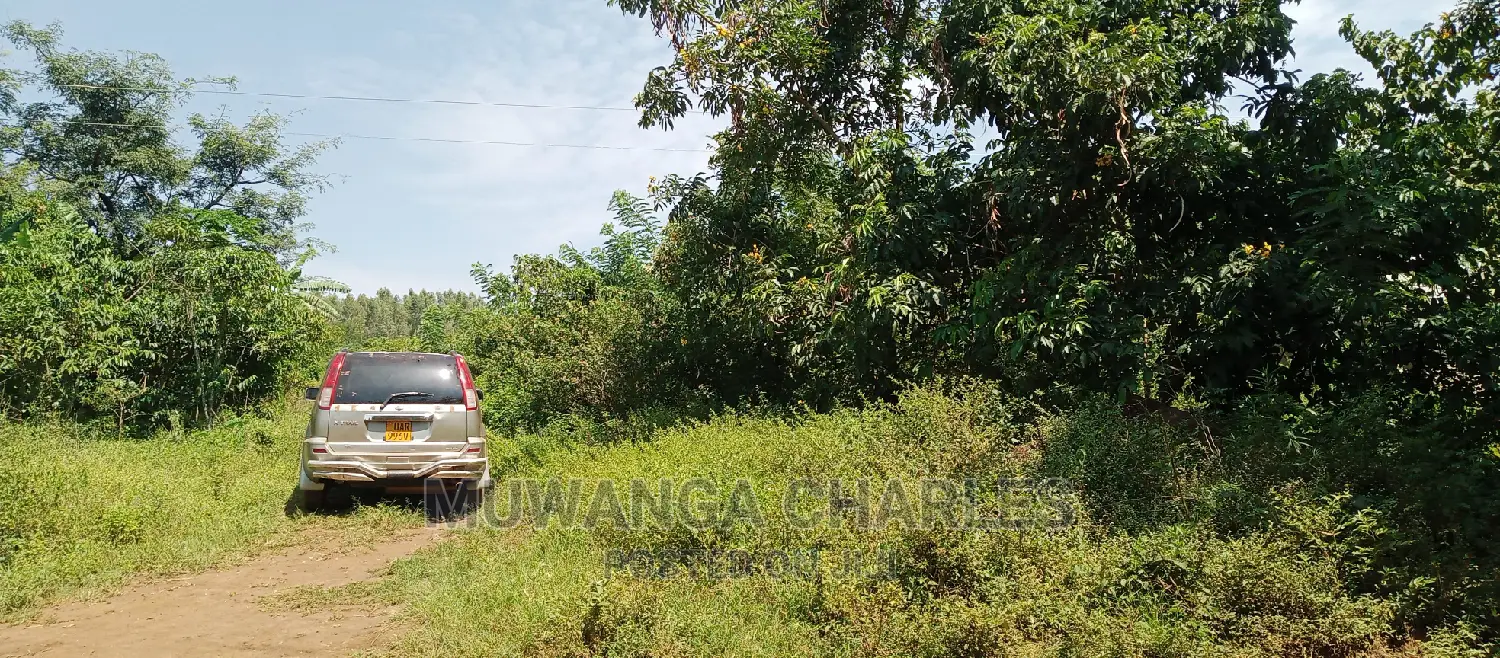Land Is Available for Sale in Zirobwe