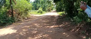 Land Is Available for Sale in Zirobwe