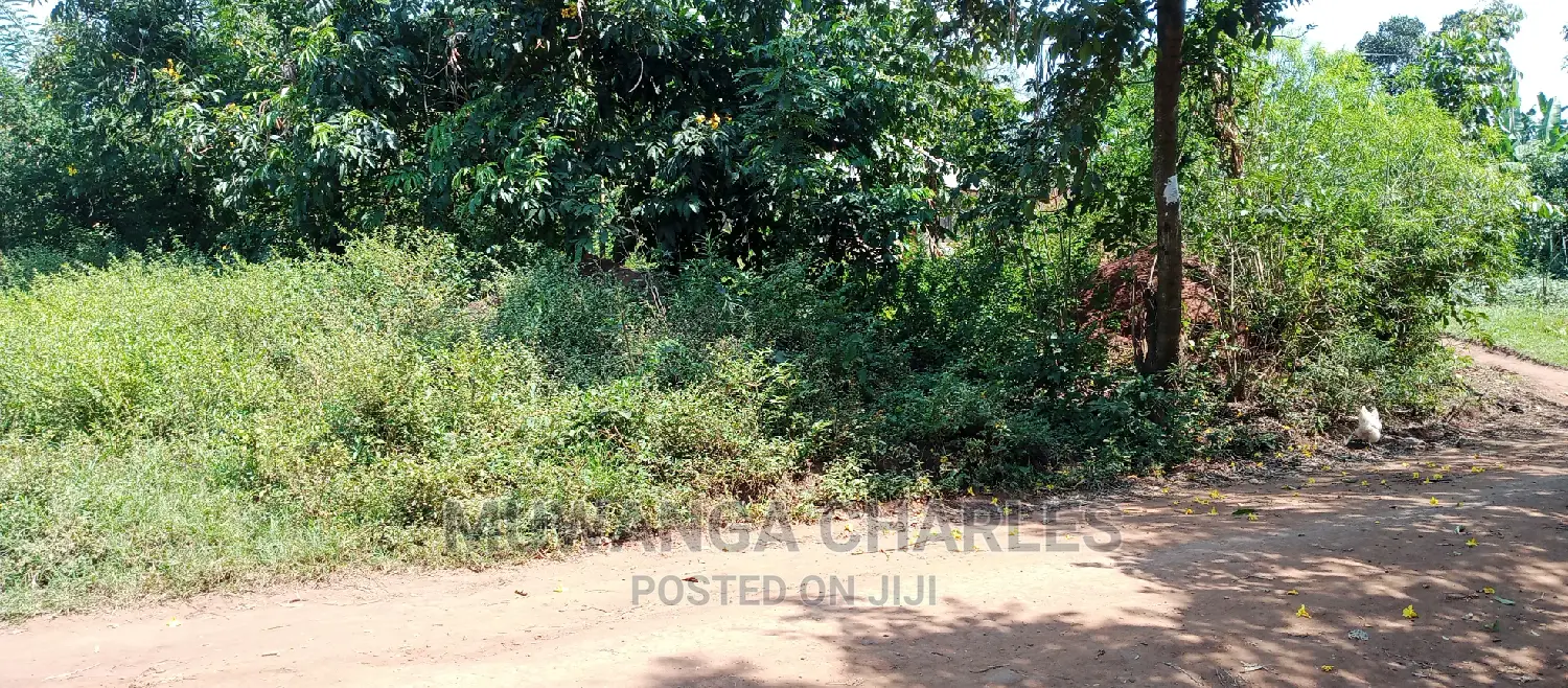 Land Is Available for Sale in Zirobwe