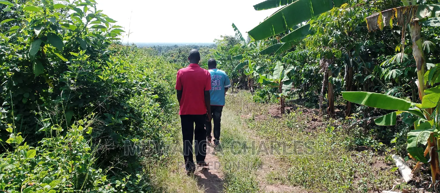 Land Is Available for Sale in Zirobwe