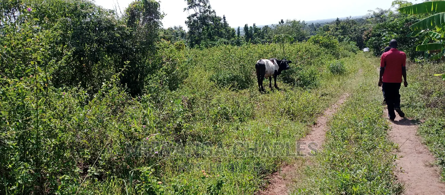 Land Is Available for Sale in Zirobwe