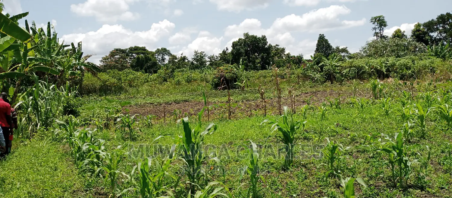 Land on Sale in Zirobwe