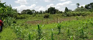Land on Sale in Zirobwe