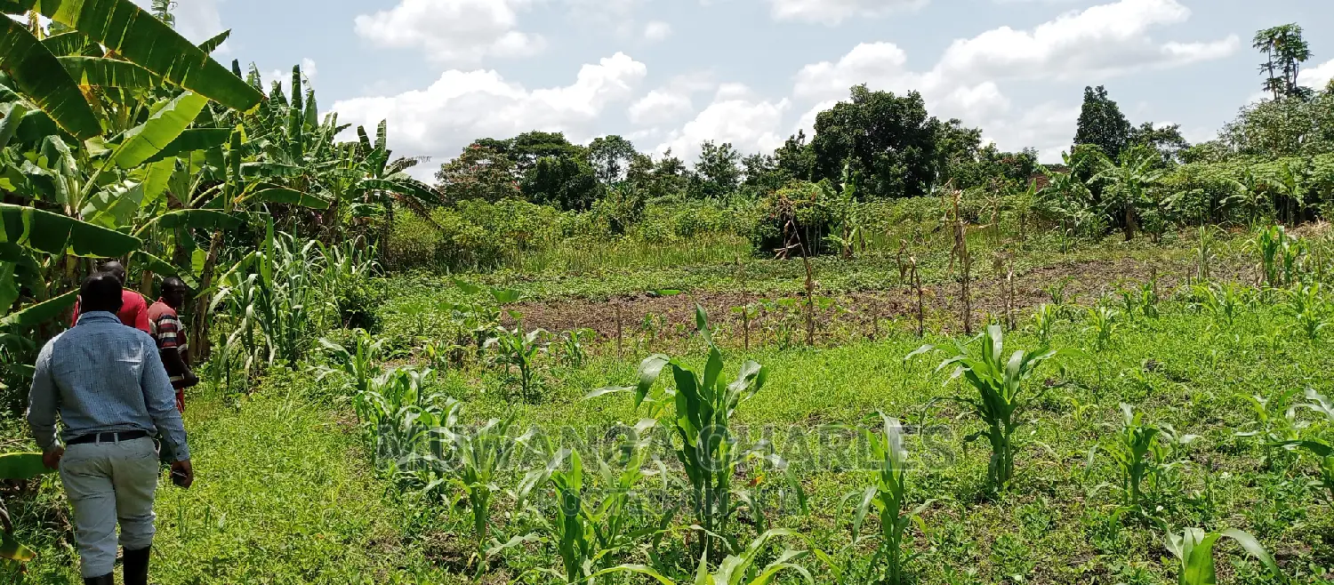 Land on Sale in Zirobwe