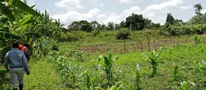 Land on Sale in Zirobwe