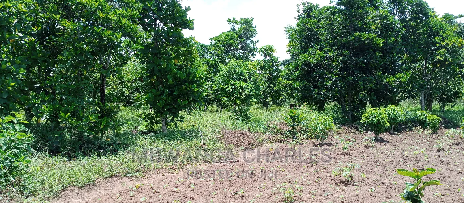 Land on Sale in Zirobwe