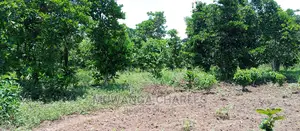 Land on Sale in Zirobwe