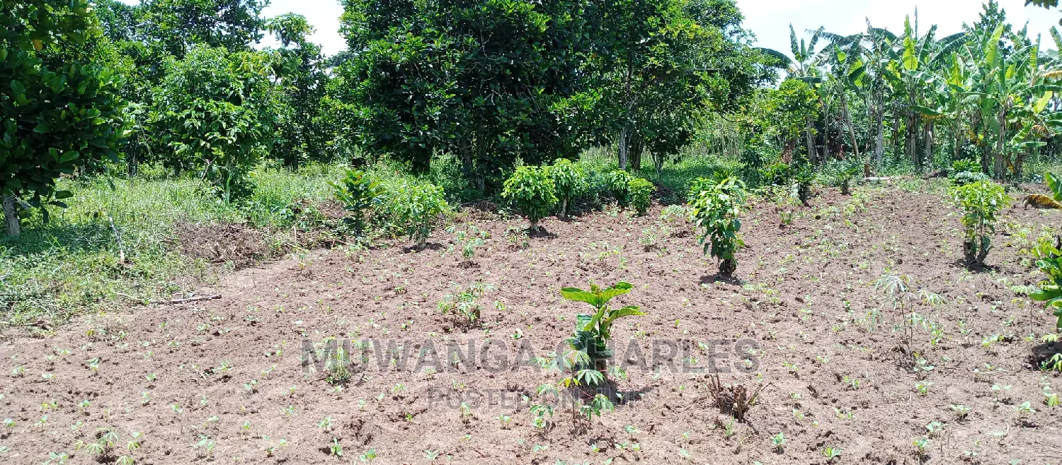 Land on Sale in Zirobwe