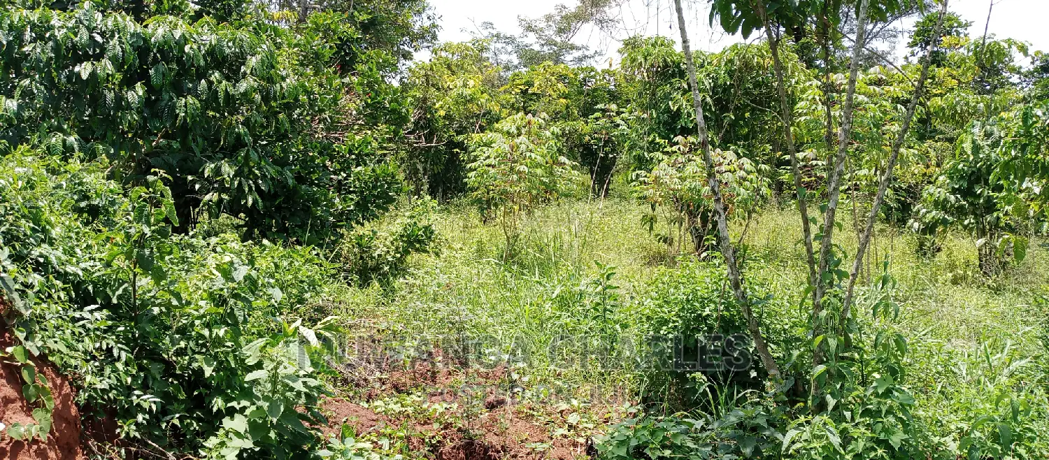 Land on Sale in Zirobwe