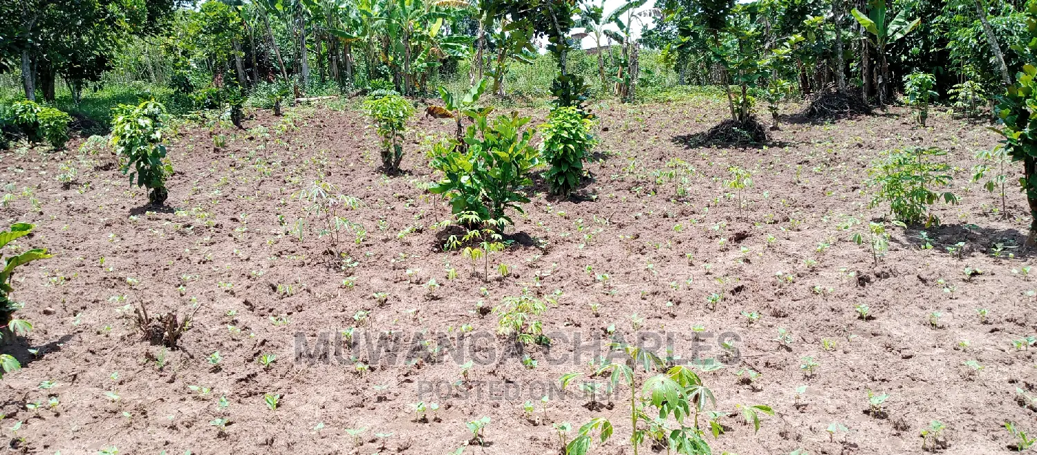 Land on Sale in Zirobwe