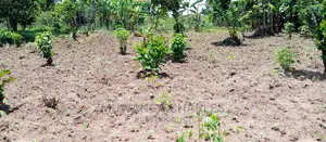 Land on Sale in Zirobwe
