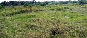 3.5acre's of Land for Sale in Zirobwe