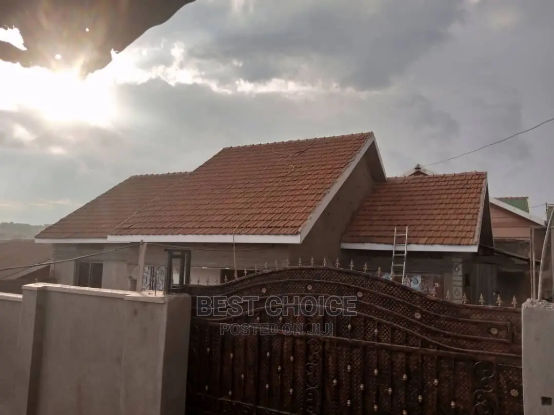 Quality and Affordable Roof Cleaning Services.