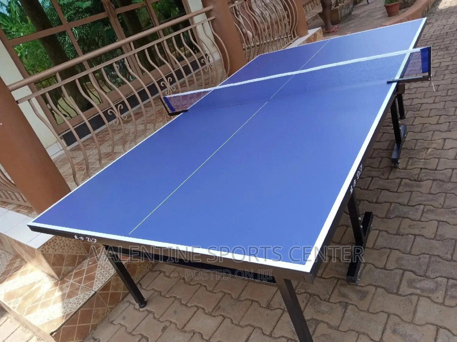 Waterproof Table Tennis