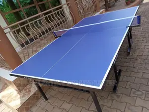 Waterproof Table Tennis